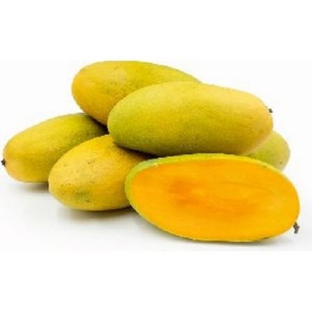 MANGO - DUSSEHRI (10 KGS)