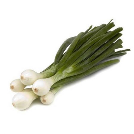 SPRING ONIONS (5 KGS)